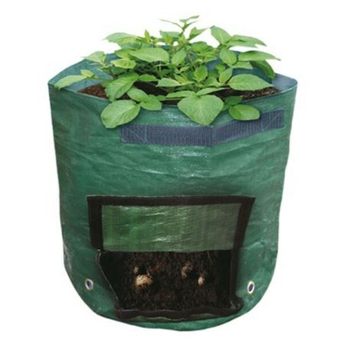 Sac plantation pommes de - de,