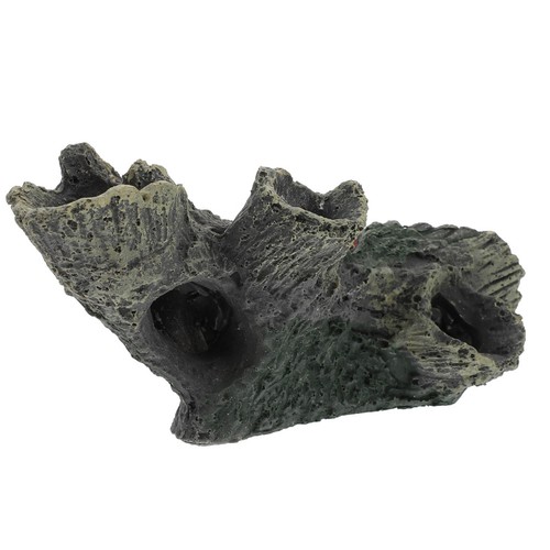 Accessoires aquarium souche - accessoires, d'aquarium