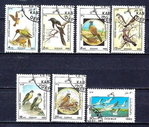Animaux oiseaux afghanistan - animaux,