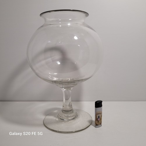 Vase bocal sangsues verre - sangsues,