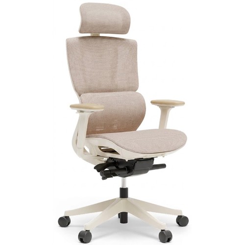 Chaise bureau ergonomique - chaise,