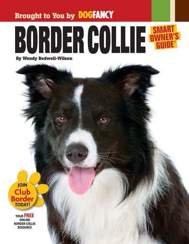 Border collie smart owner s - collie, (smart