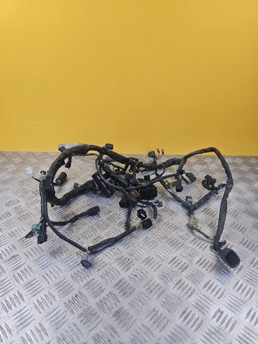 Faisceau électrique pour