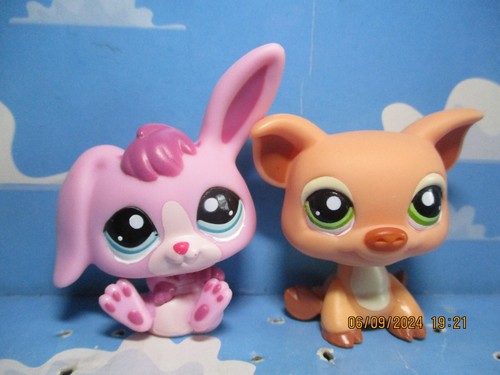 Petshop duo cochon n - cochon, n°1934