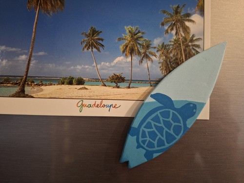 Magnet tortue planche - , surf
