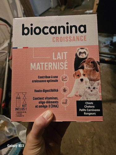 Lait maternisé chiots - maternisé, chatons