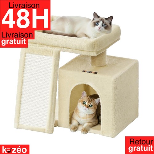 Arbre chat tour de - tour,