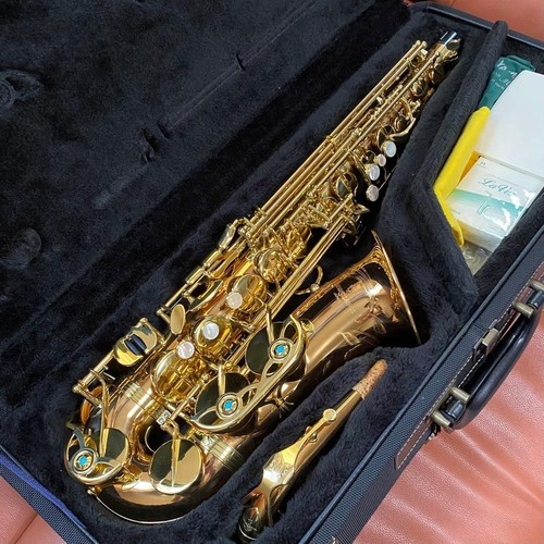 Saxophone alto yanagisawa - saxophone,