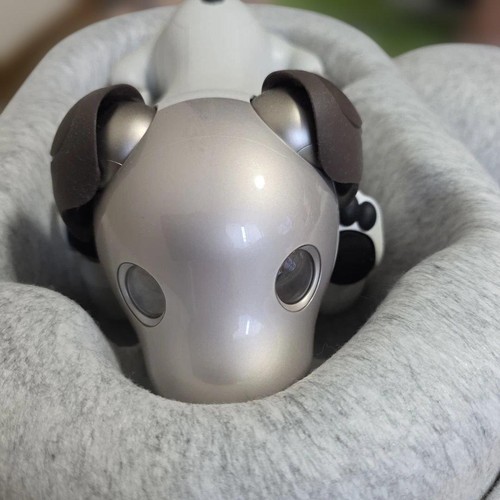 Sony aibo ers 1000 robot - aibo, ers-1000