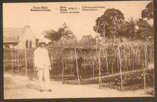 CONGO BELGE  carton format cpa