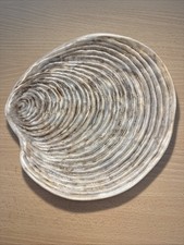 Guillot Shell Plate