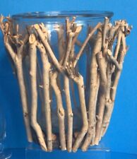 Elegant Gold Twig Branch Pillar Candle Holder 8 in Tall Faux Bois Hurricane