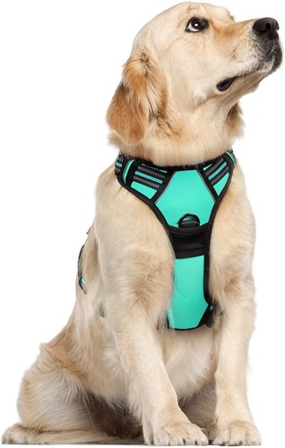 Harnais chien anti - chien,