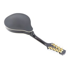 8 Cordes Mandoline Électrique A Style Sonore Premium Pour Musiciens Experts En