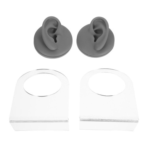 Modèle oreille droite de - modèle, d'oreille