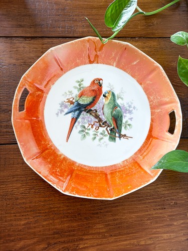 Plat schumann bavaria aux - schumann,