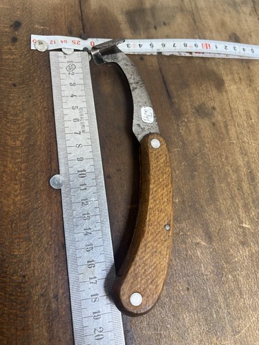 Rainette marquage forestier - rainette,