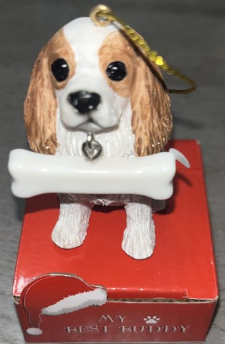 Cavalier king charles - charles, dog