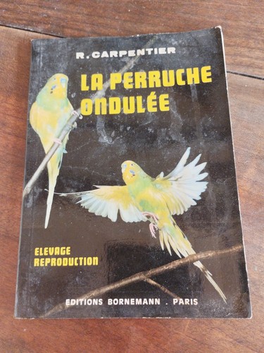 Perruche ondulée - la,