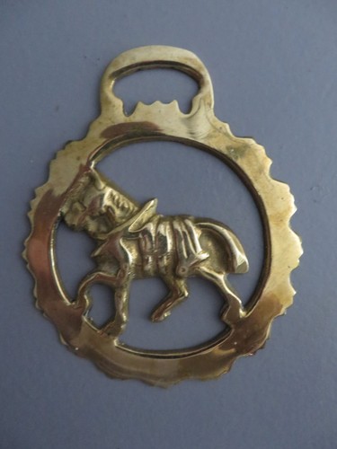Médaillon ornemental de - ,