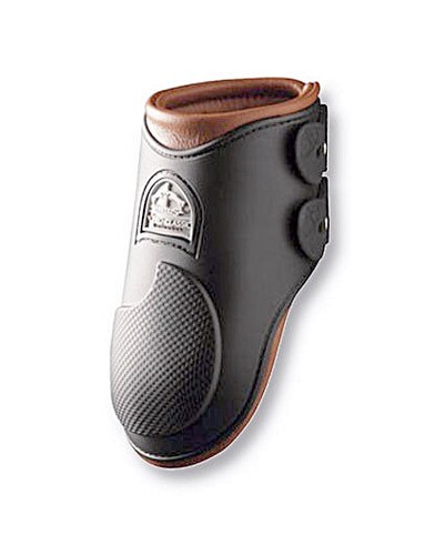 Paranocche veredus pro - paranocche,