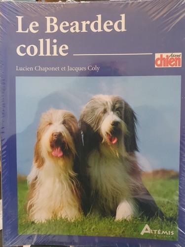 Bearded collie chaponet - collie,