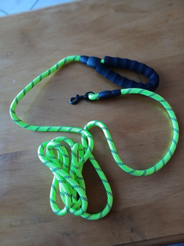 Laisse pour chien - chien, cm