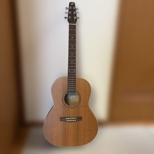 Guitare acoustique folklorique