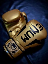 Venum Boxing Gloves, Fight