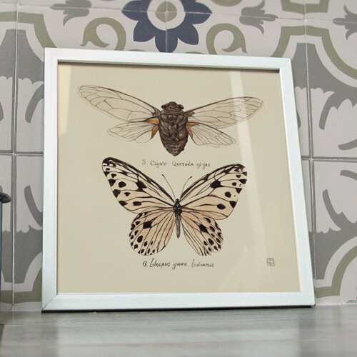 Poster décoration insectes