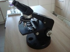 WILD HEERBRUGG Binocular Microscope