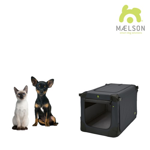Maelson doux chenil - maelson,