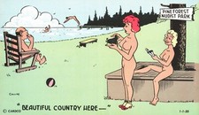 Camera Time Genuine Nudist Comic Card Sunbather Magazine 1956 Risqué Postcard