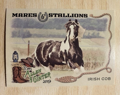 2019 topps allen ginter - allen,