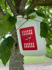 Piège à frelon asiatique