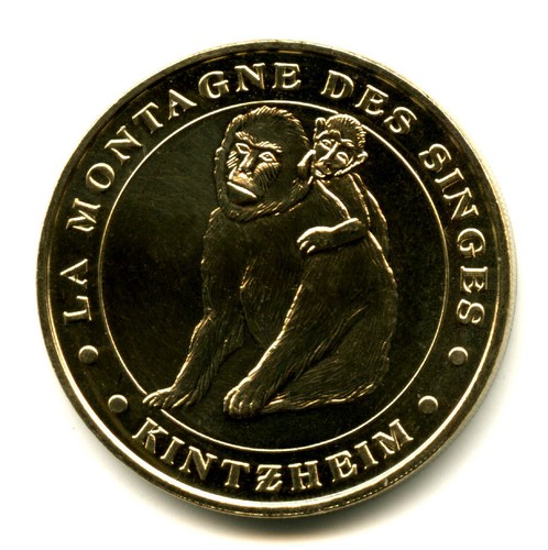 Kintzheim montagne des - 67,