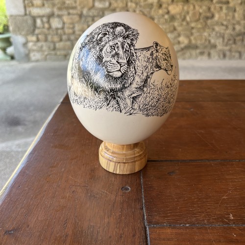 œuf autruche cabinet - Œuf,