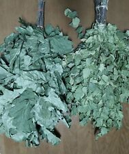 SET of 10 sauna bath 5 BIRCH+5 CANADIAN OAK veniks SEASON 2025 FREE SHIPPING