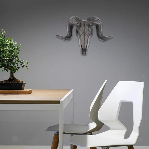 Tête mort mouton - tête, de