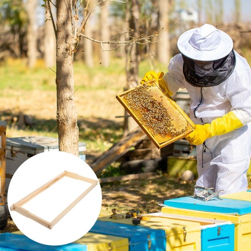 Cadre apiculture matériel - d'apiculture,