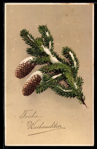 Branche sapin enneigée - de,