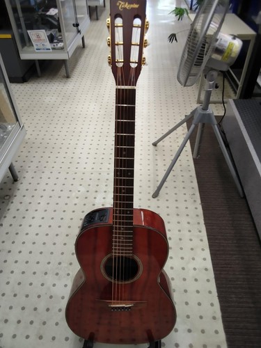 Guitare acoustique électrique