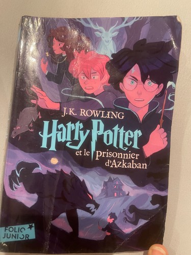 Livre folio junior harry - junior,