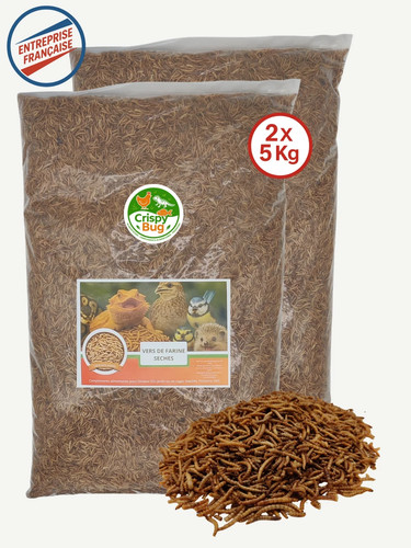 Vers farine séchés kg - farine,