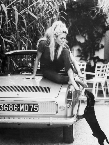 Photo brigitte bardot - bardot, une