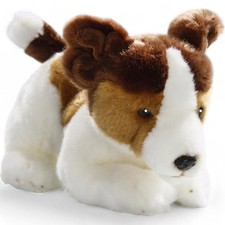 Carl Dick Jack Russel Terrier