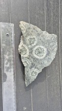 Rare Diorite Orbiculaire