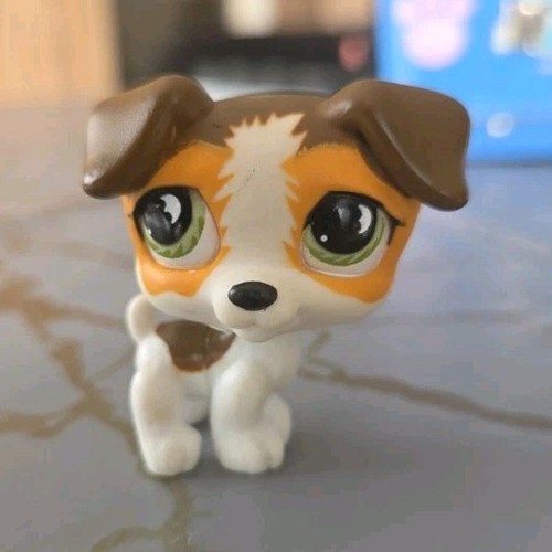 Littlest pet shop petshop mini - littlest,
