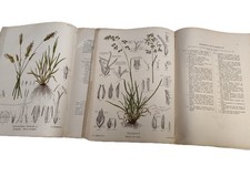 Livres anciens/Les meilleures plantes fourragères 1ere et 2eme parties