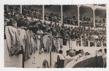 8 Photos - Tribune des Arènes